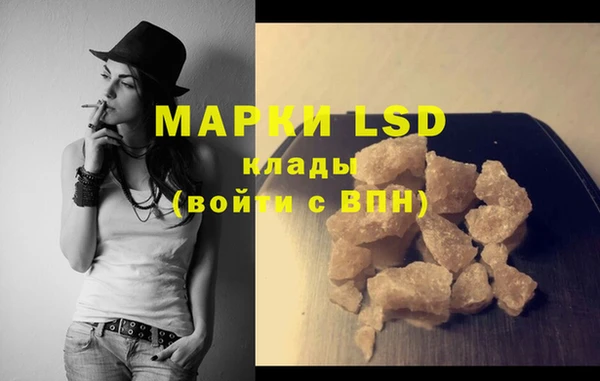 ПСИЛОЦИБИНОВЫЕ ГРИБЫ Лихославль