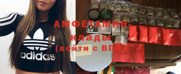ПСИЛОЦИБИНОВЫЕ ГРИБЫ Лихославль
